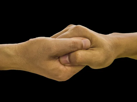 نورديس كازينو الدعم